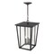 Z-Lite Seoul 3 Light Outdoor Chain Mount Ceiling Fixture, Black & Clear 571CHXL-BK - alternate 4